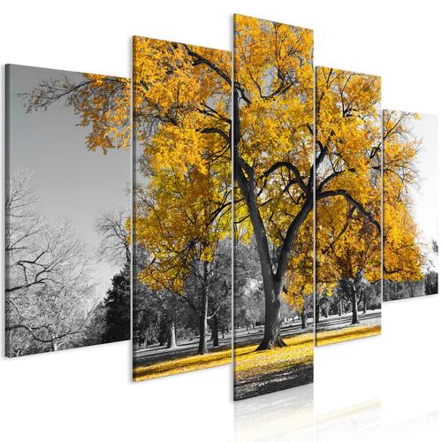 Billede - Autumn in the Park (5 dele) Wide Gold