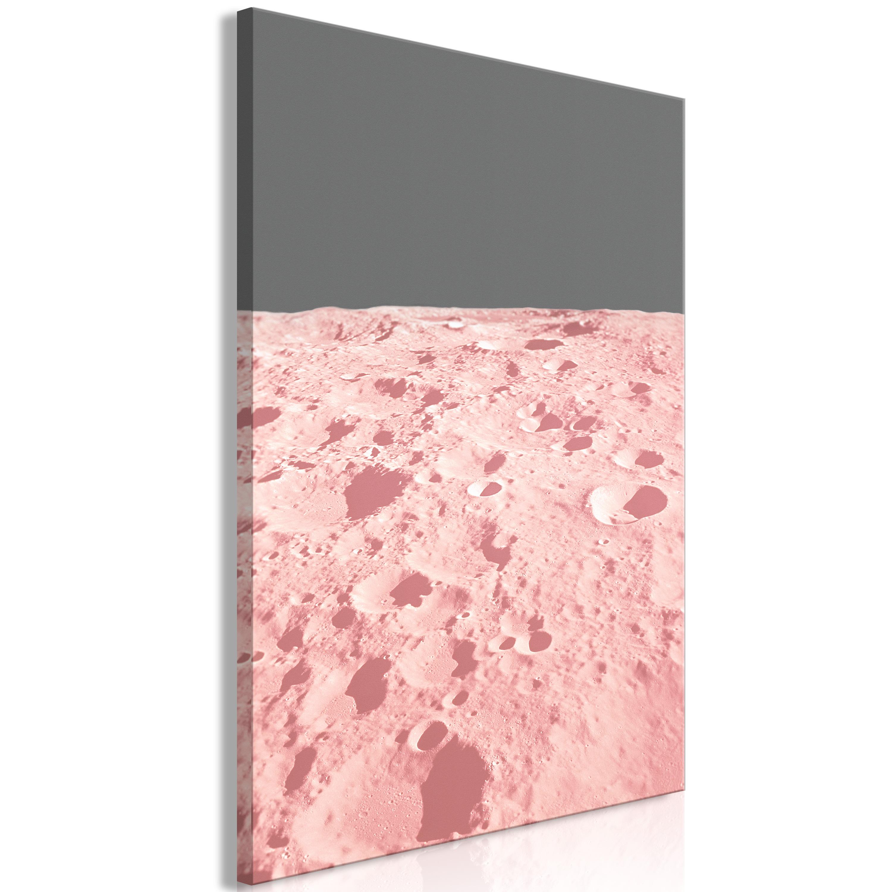 Billede - Pink Moon (1 Part) Vertical
