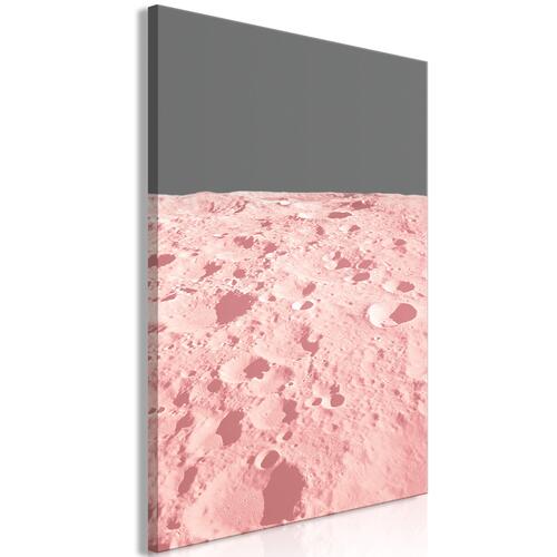 Billede - Pink Moon (1 Part) Vertical