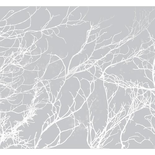 Fototapet - White Trees