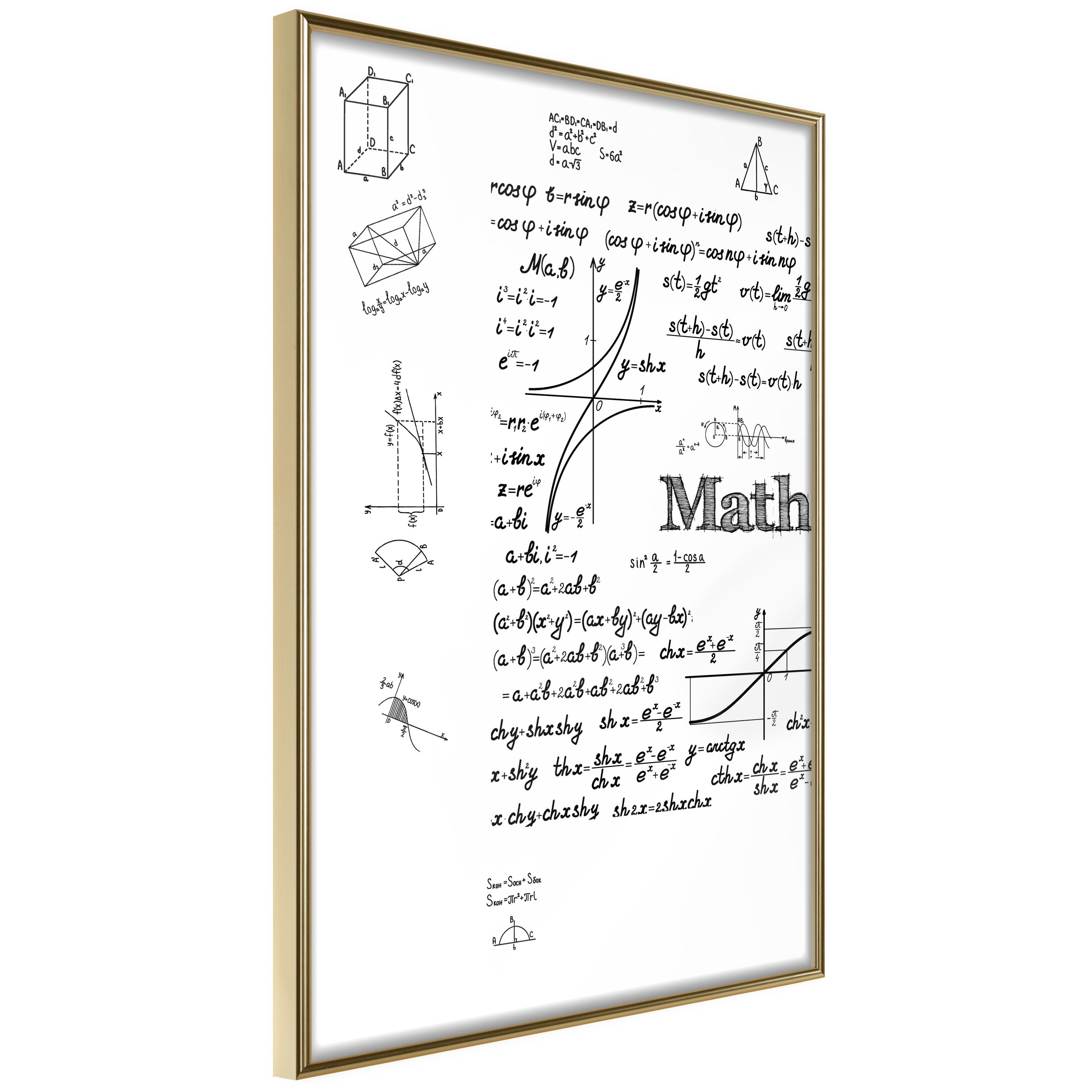 Plakat - Math - 30 x 45 cm - Guldramme