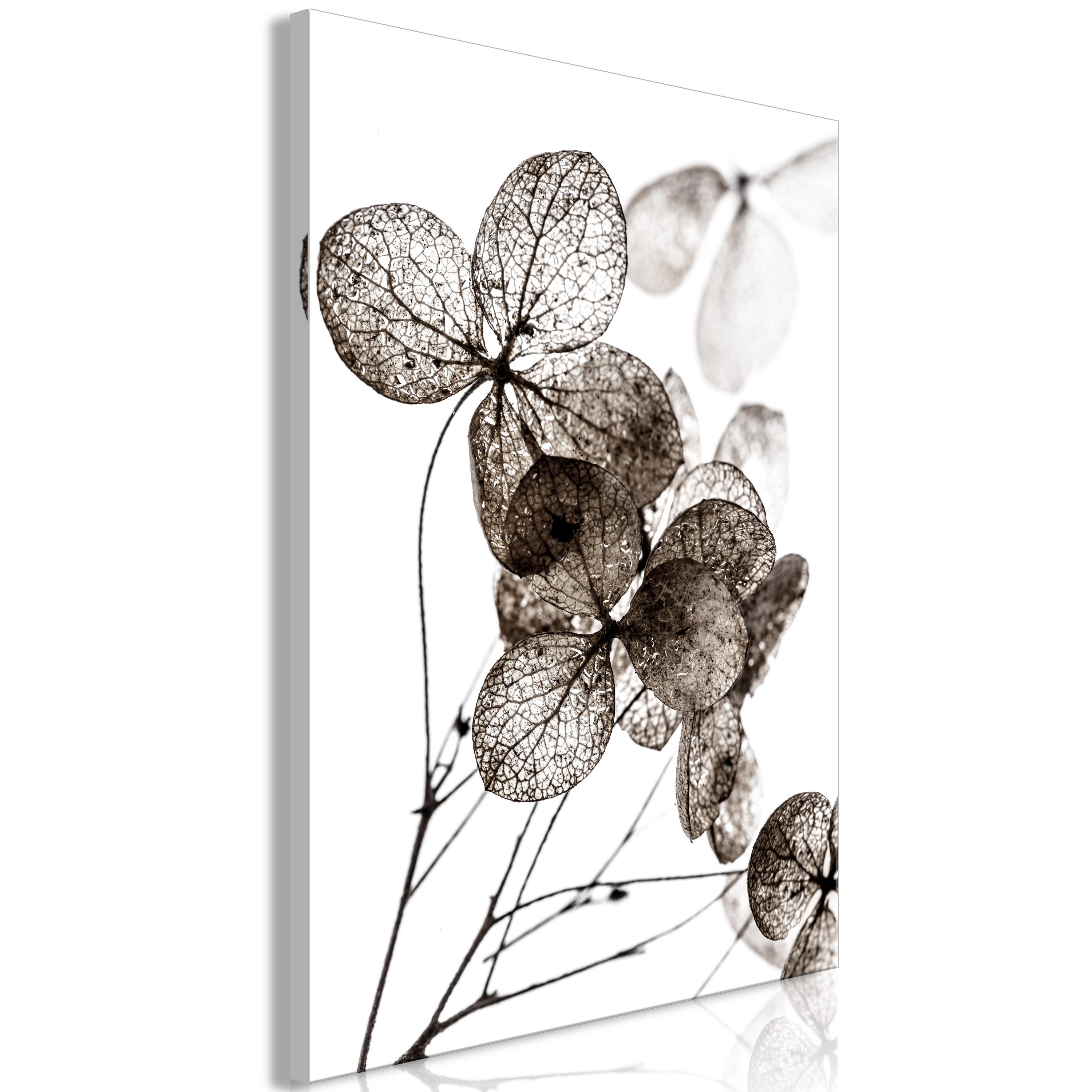 Billede - Transparent Clover (1 Part) Vertical - 60 x 90 cm - Standard