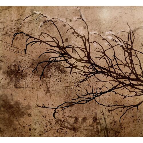 Fototapet - Rickety Cherry Tree