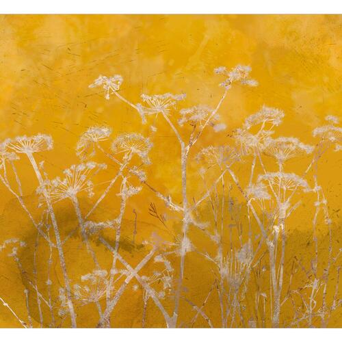 Fototapet - Meadow Bathed in the Sun