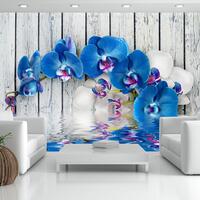 Fototapet - Cobaltic orchid