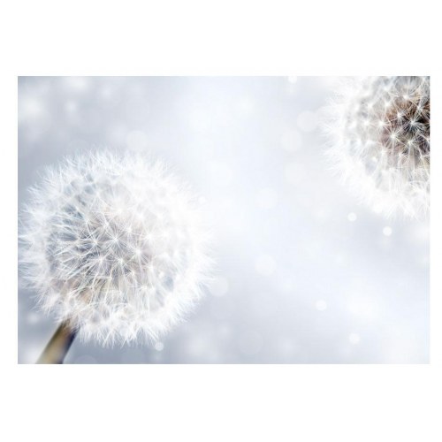 Fototapet - Unpredictable moments