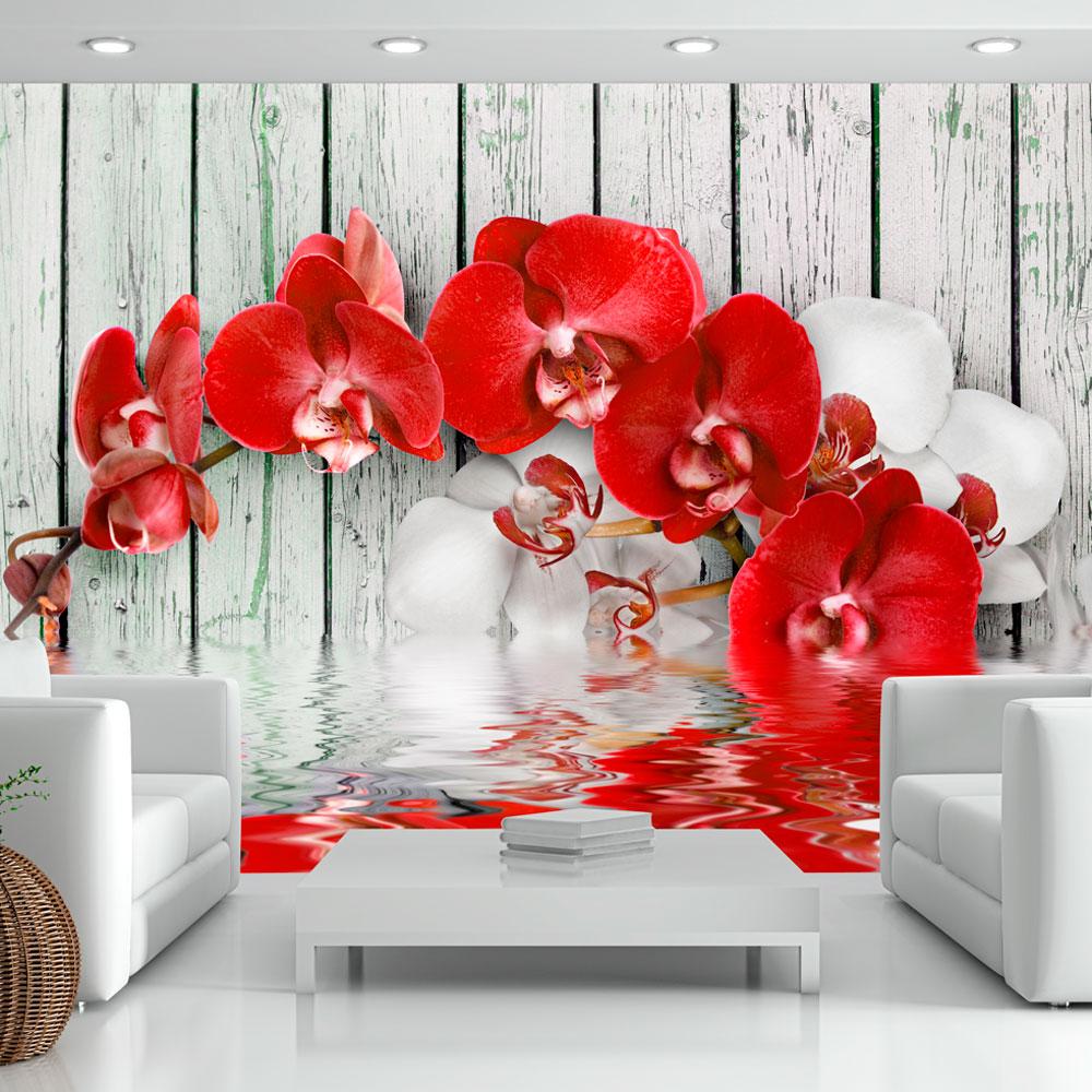 Fototapet - Ruby orchid - 250 x 175 cm - Standard