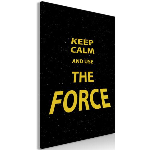 Billede - Keep Calm and Ouse the Force (1 Part) Vertical