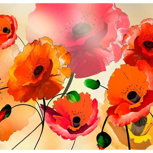 Fototapet - Velvet Poppies