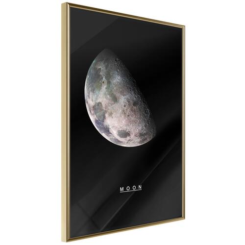 Plakat - Moon