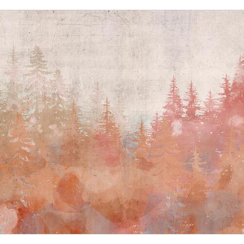 Fototapet - Forest at Sunset