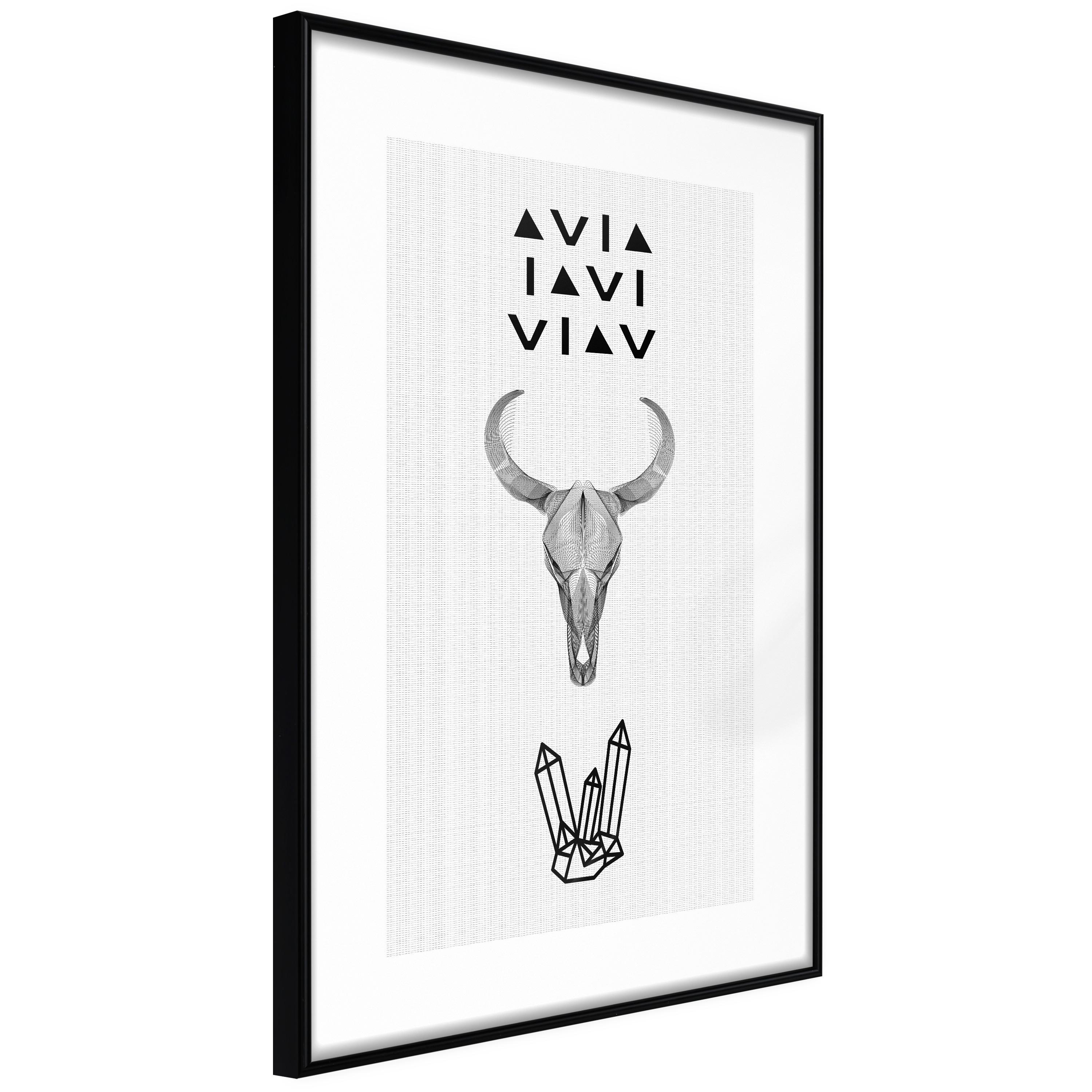 Plakat - Animal Skull - 20 x 30 cm - Sort ramme