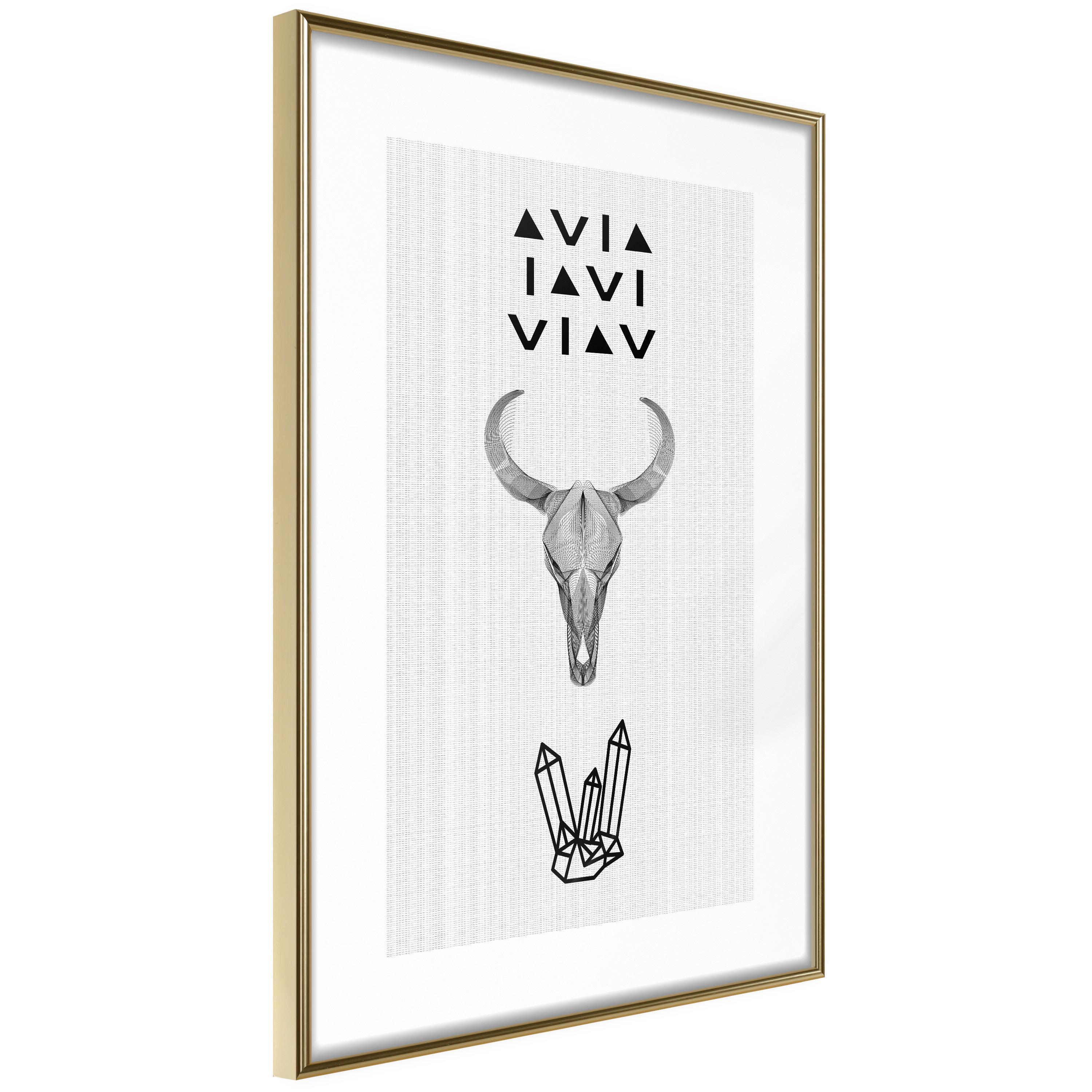Plakat - Animal Skull - 40 x 60 cm - Guldramme
