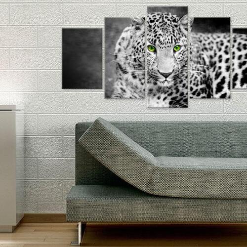 Billede - Leopard - black&white