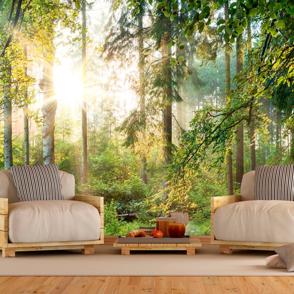Fototapet - Untamed Nature - 450 x 315 cm - Standard