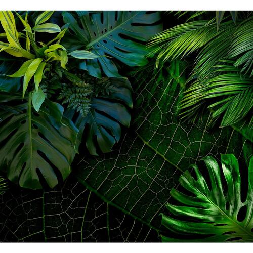 Fototapet - Dark Jungle