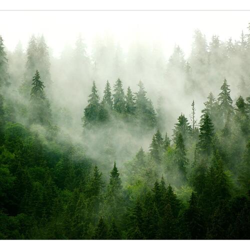 Fototapet - Mountain Forest (Green)