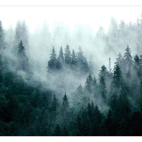 Fototapet - Mountain Forest (Dark Green)