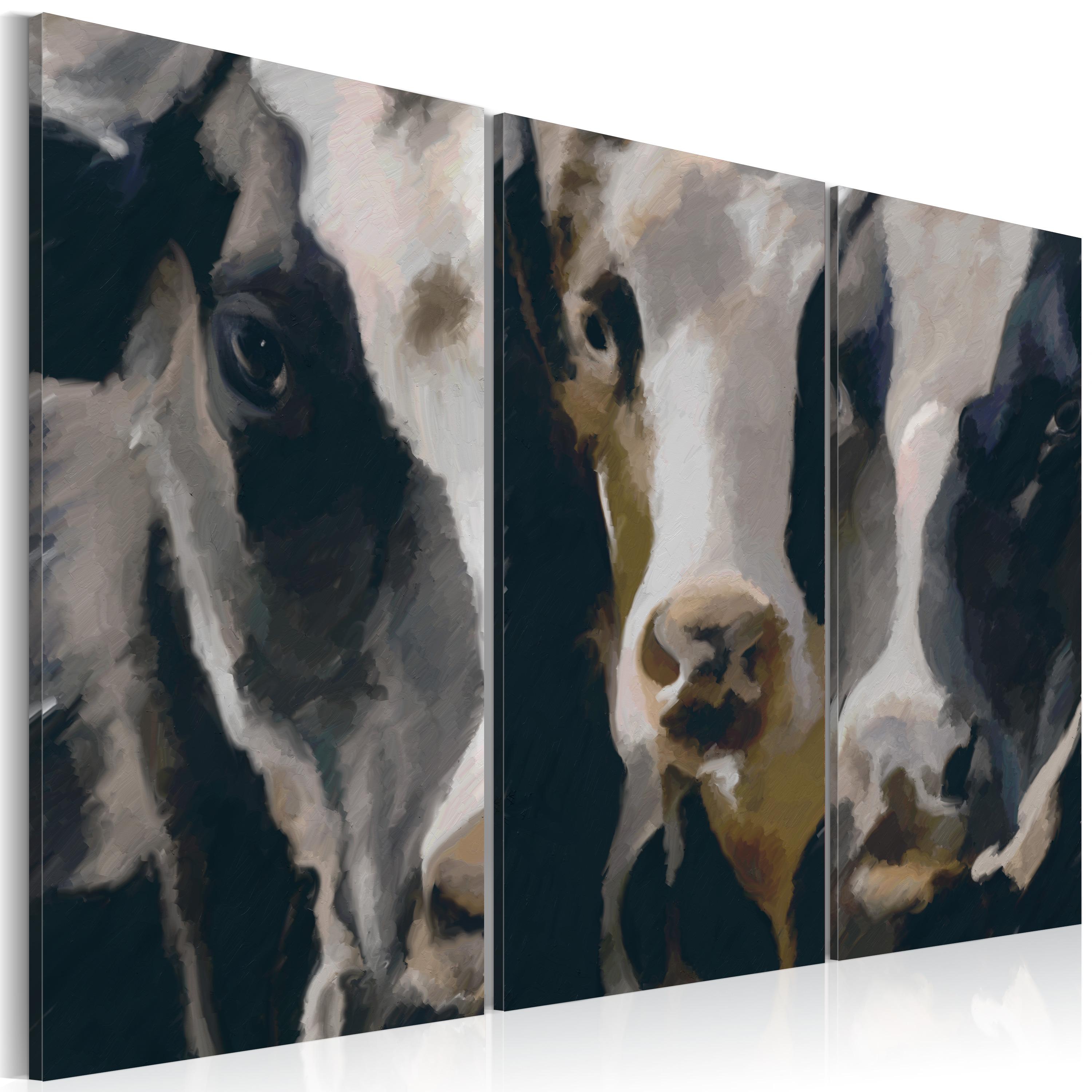 Billede - Piebald cow - 90 x 60 cm - På italiensk lærred