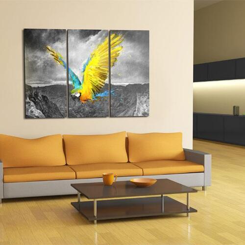 Billede - Bird-of-paradis