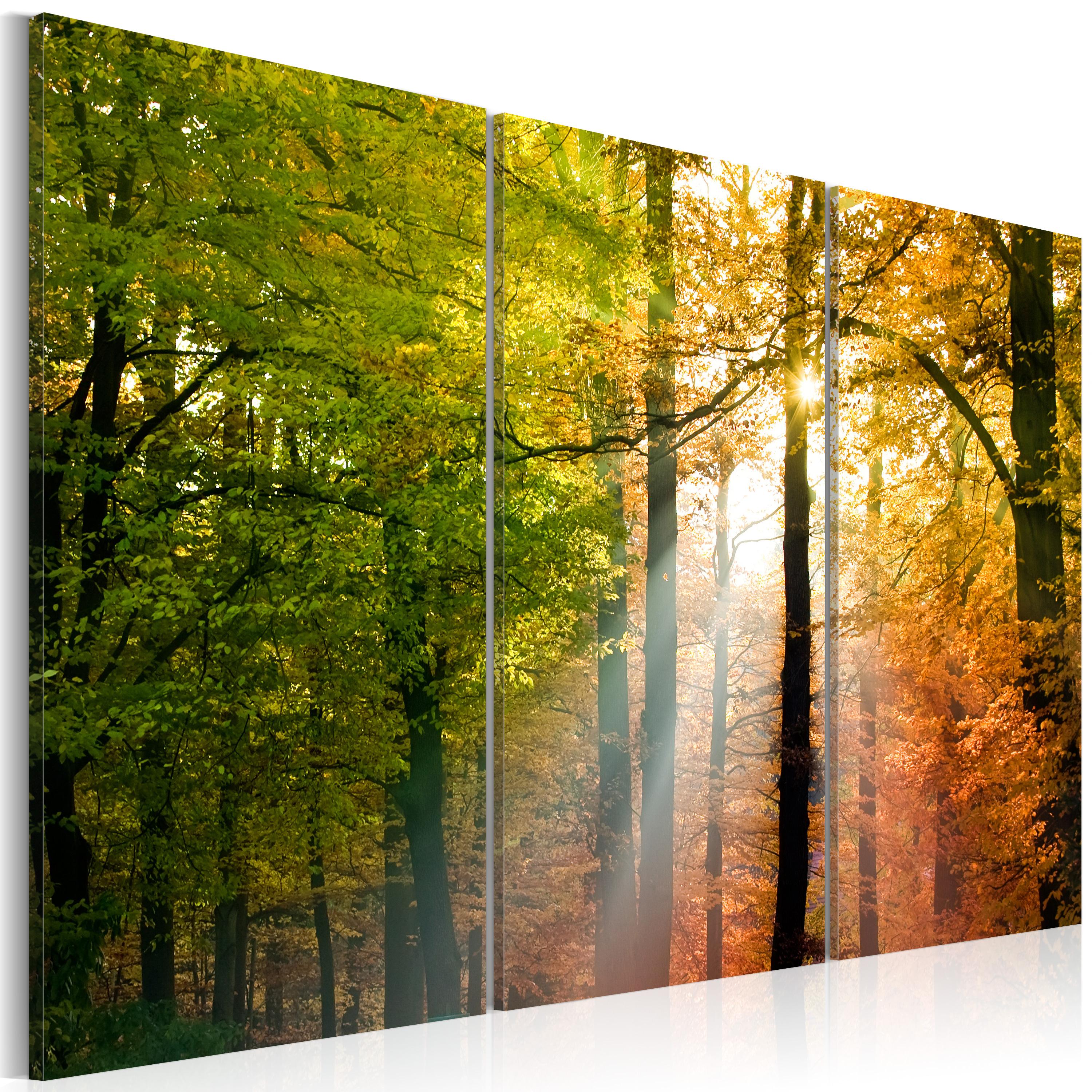 Billede - A calm autumn forest - 60 x 40 cm - Standard