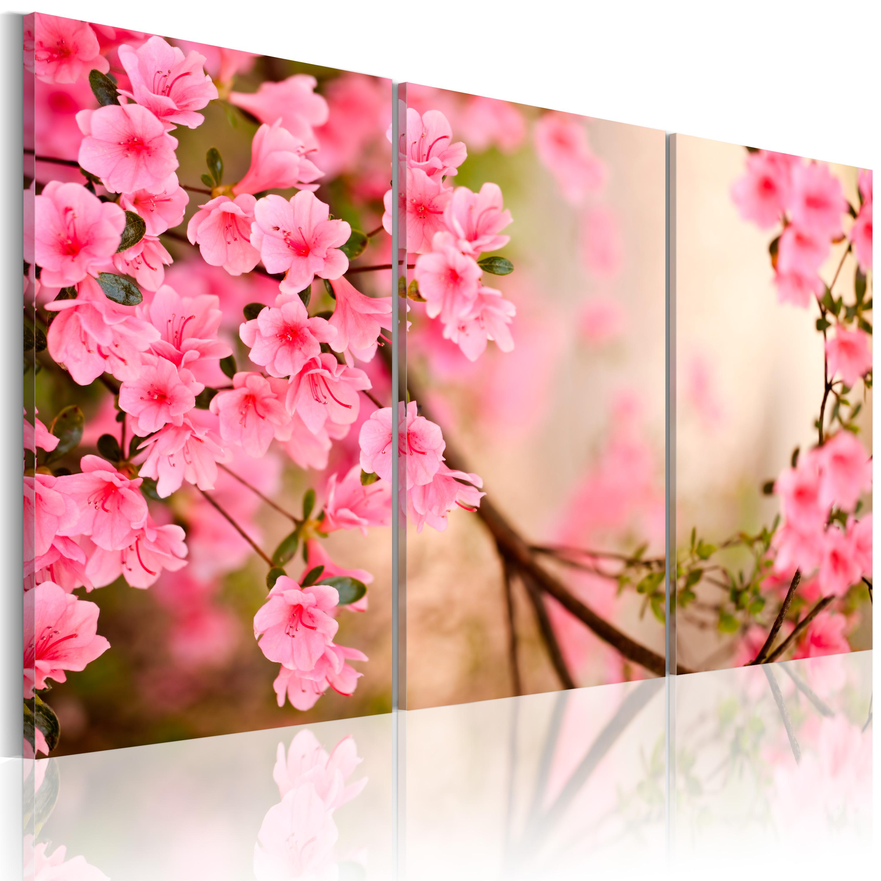 Billede - Cherry flower - 120 x 80 cm - Standard
