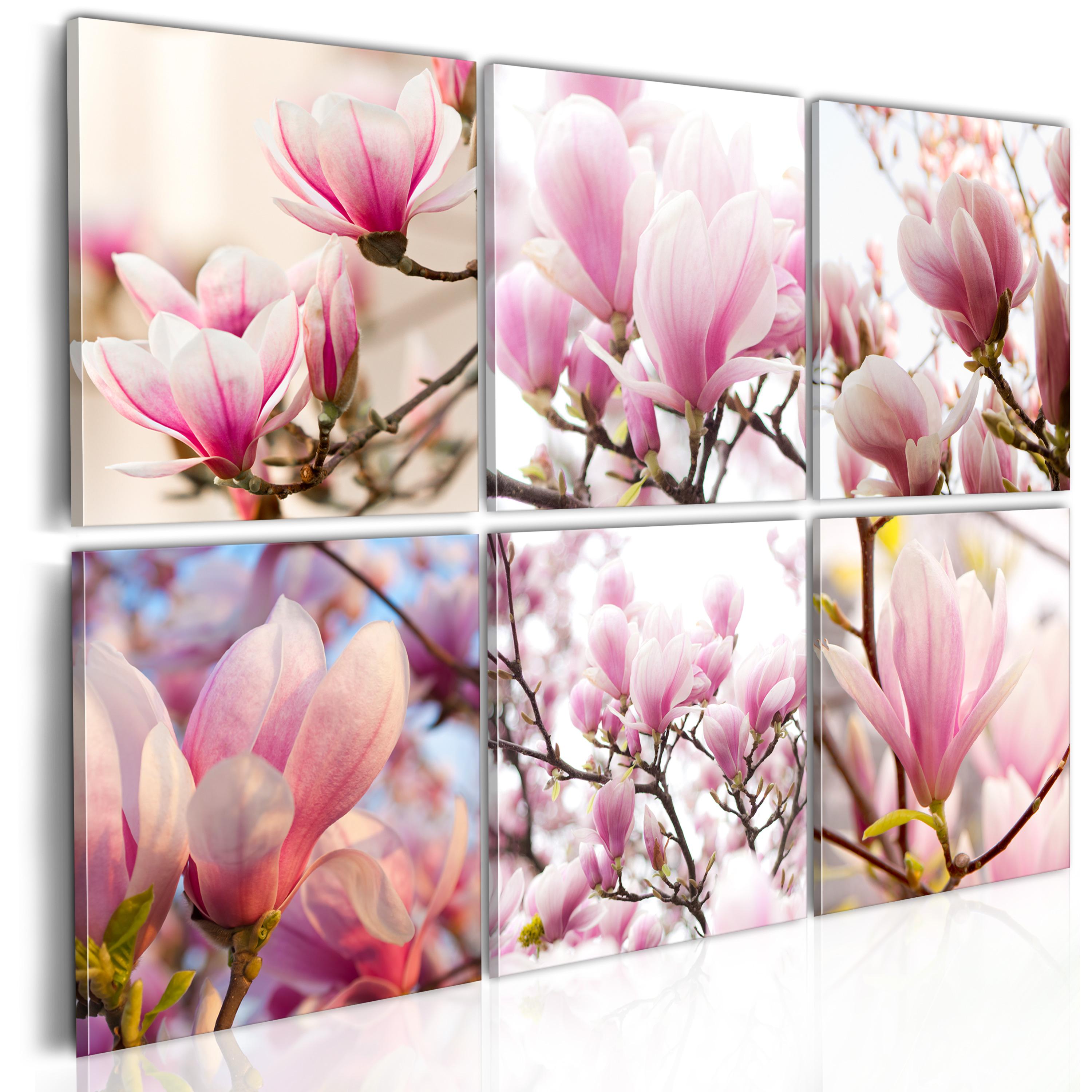 Billede - Southern magnolias - 60 x 40 cm - Standard