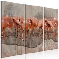 Billede - Flamingo Lake (3 dele)