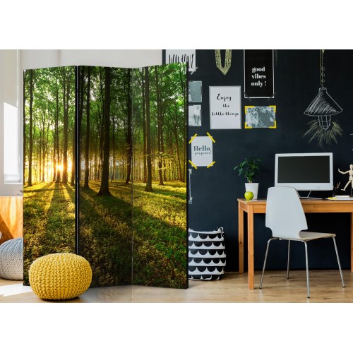 Skærmvæg - Morning in the Forest