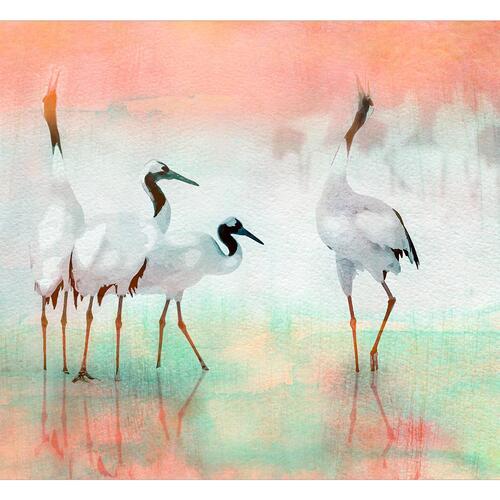 Fototapet - Cranes in Pastels