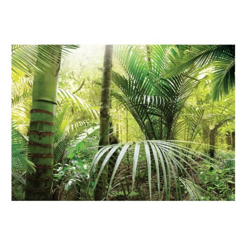 Fototapet Grøn Allé med skovmotiv