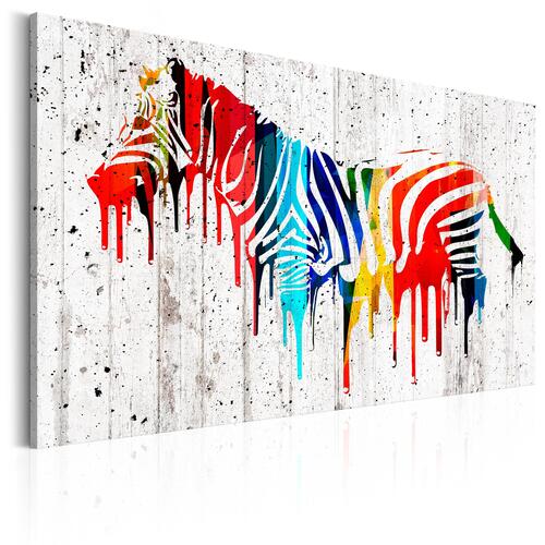 Billede - Colourful Zebra