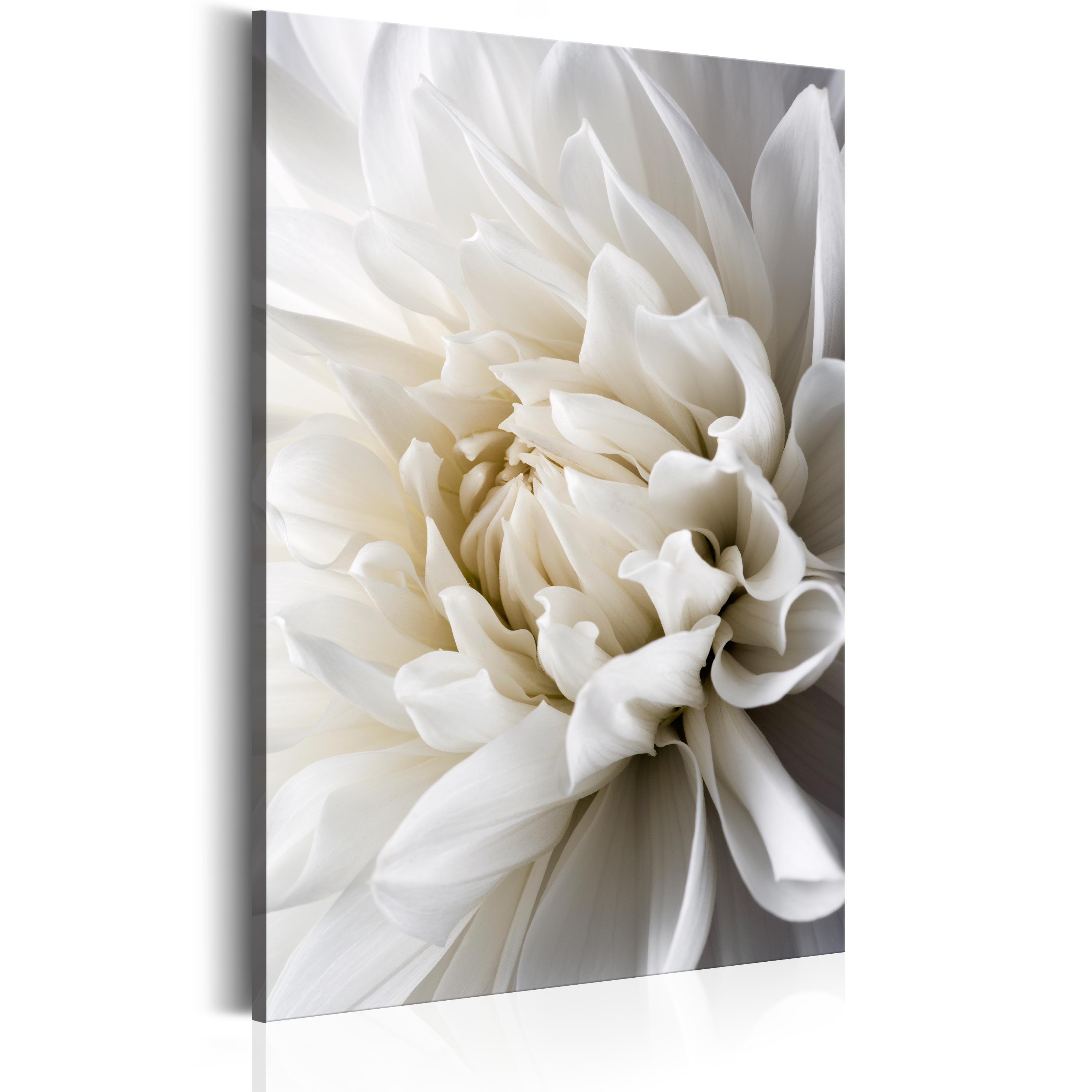 Billede - White Dahlia - 60 x 90 cm - Standard