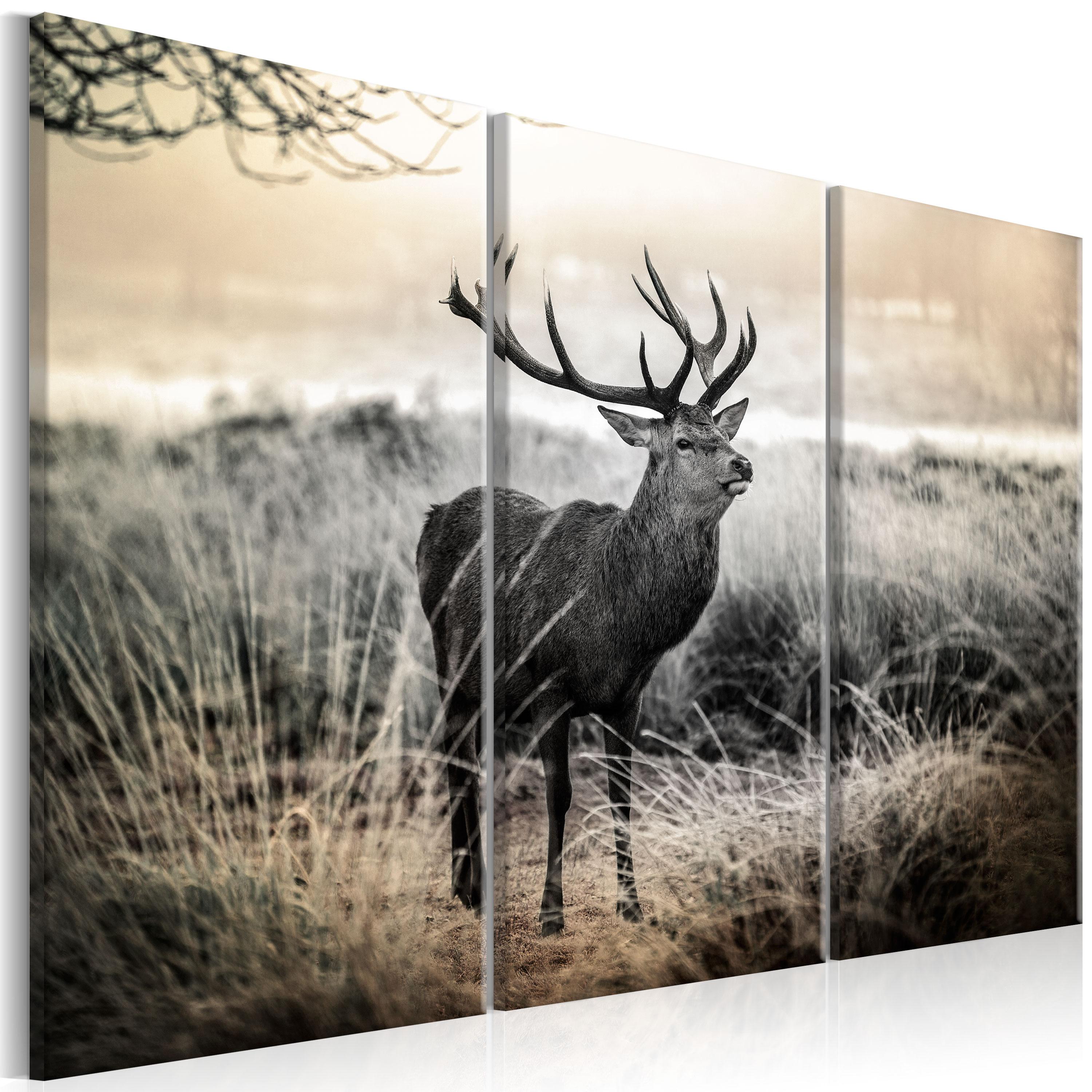 Billede - Dangerous Horns I - 60 x 40 cm - Premium Print