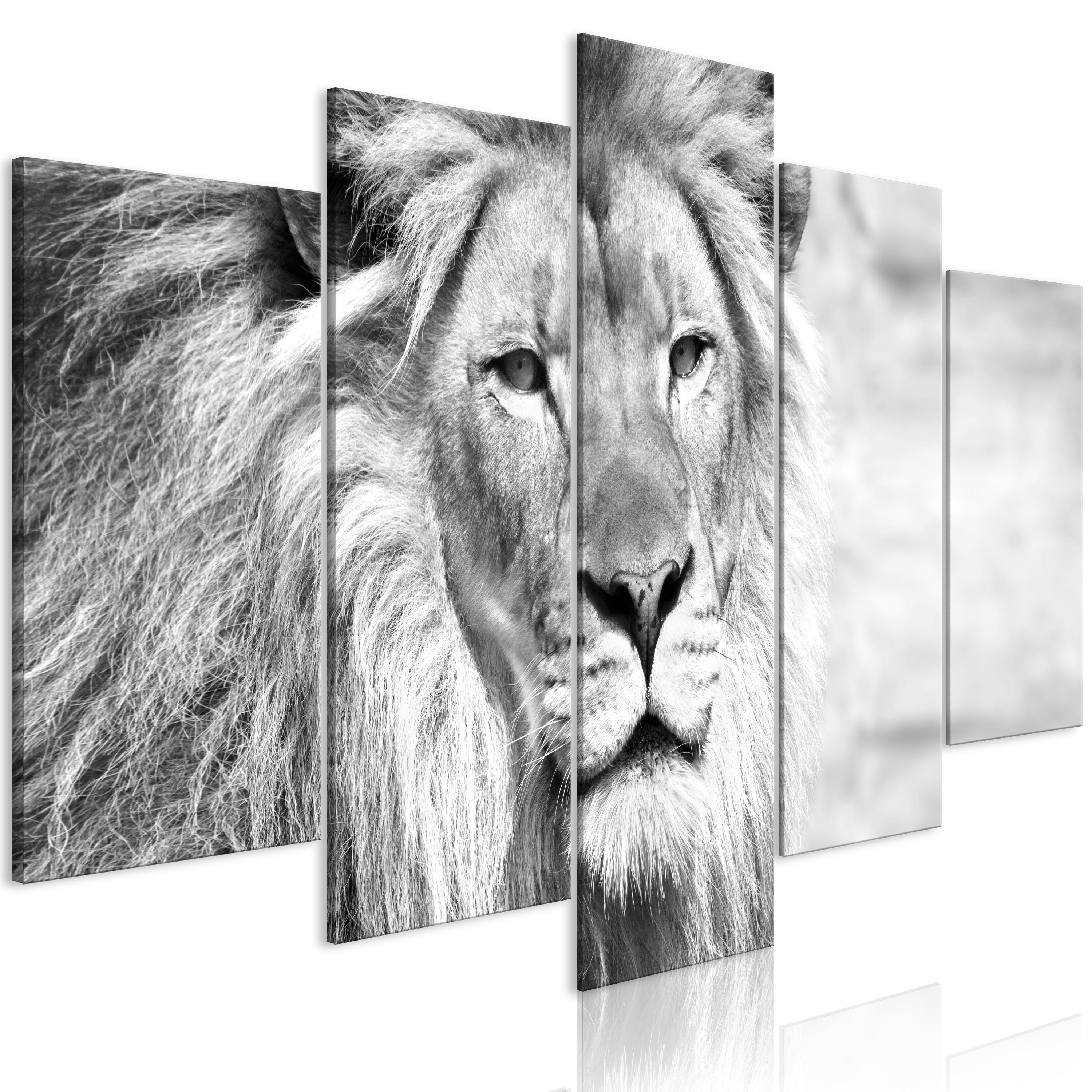 Billede - The King of Beasts (5 dele) Wide Black and White - 225 x 112.5 cm - Premium Print