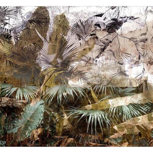 Fototapet - In the Rain Forest