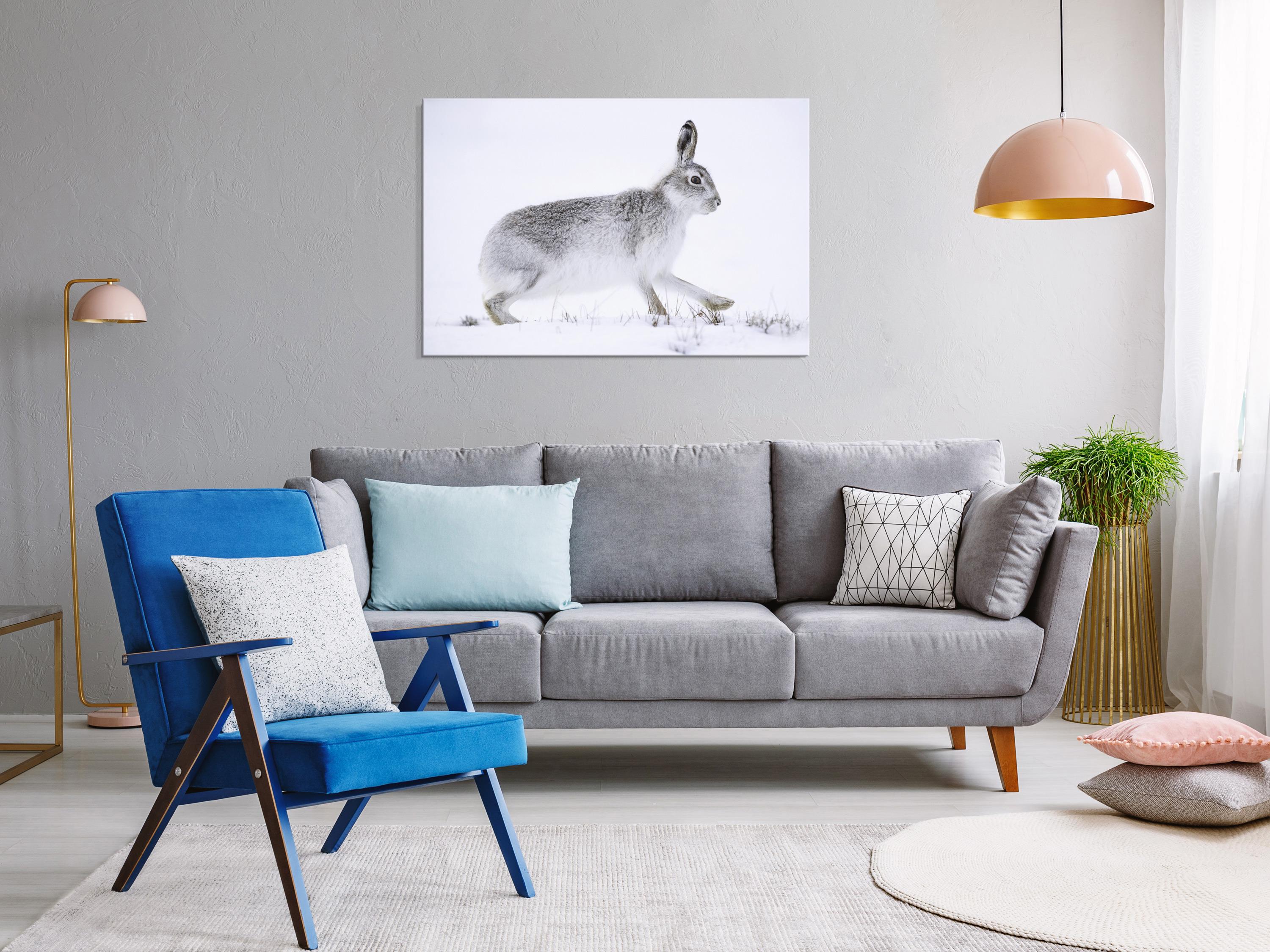 Billede - Hare (1 Part) Wide - 60 x 40 cm - Standard