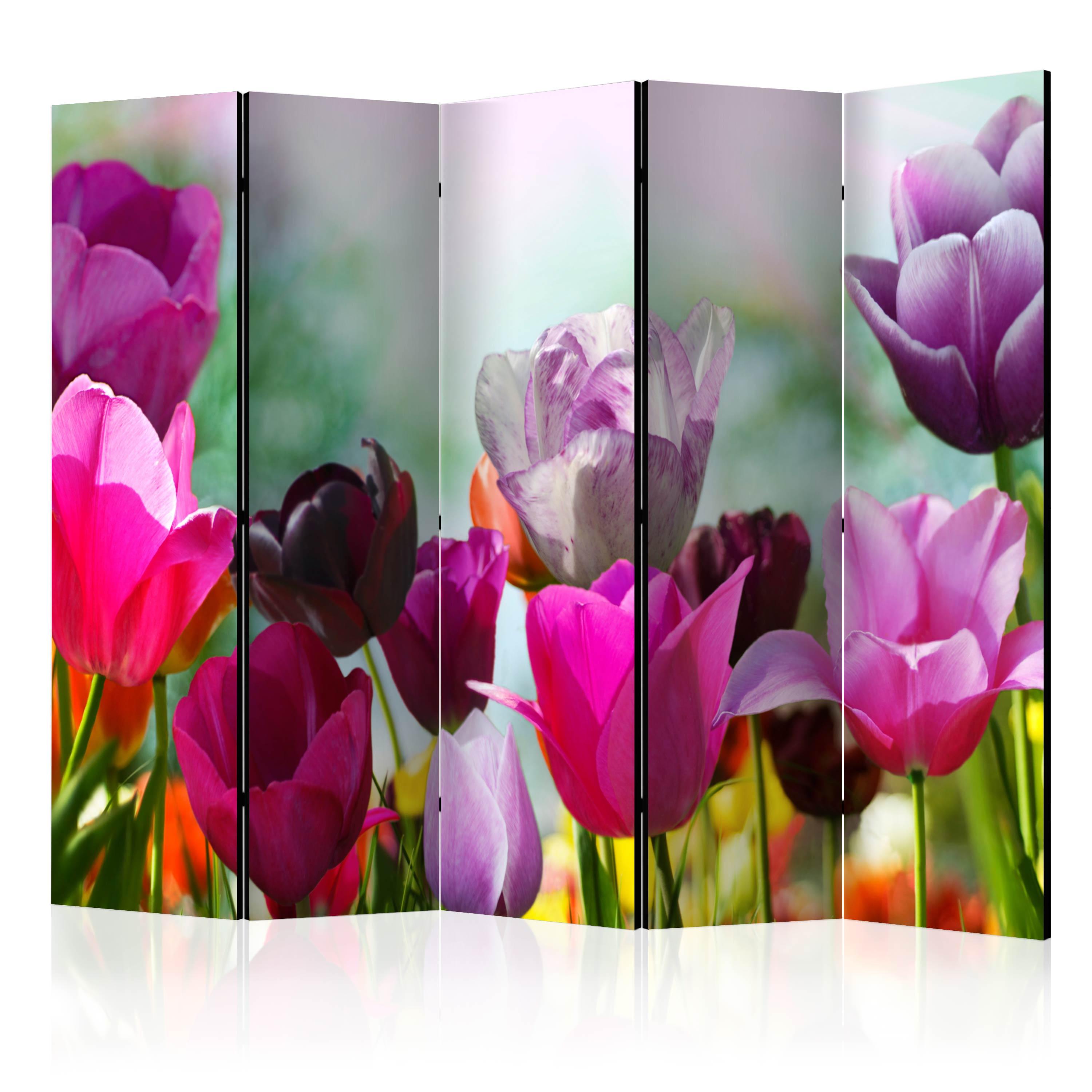 Skærmvæg - Beautiful Tulips II - 225 x 172 cm - Enkeltsiddet billede