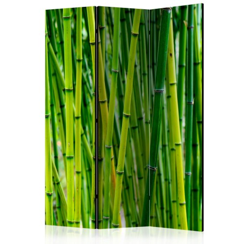 Skærmvæg - Bamboo Forest