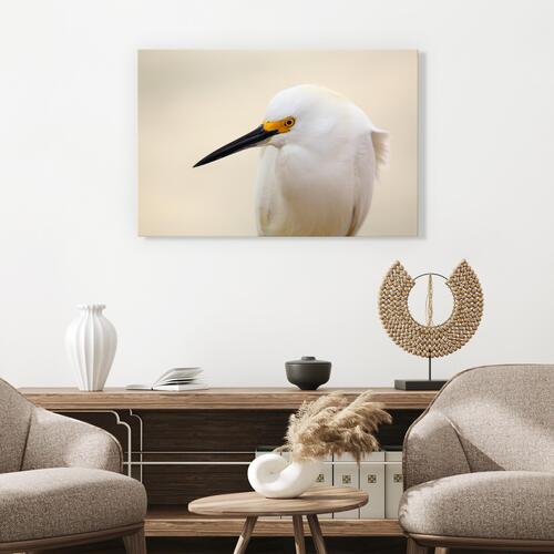 Billede - Snowy Egret (1 Part) Wide