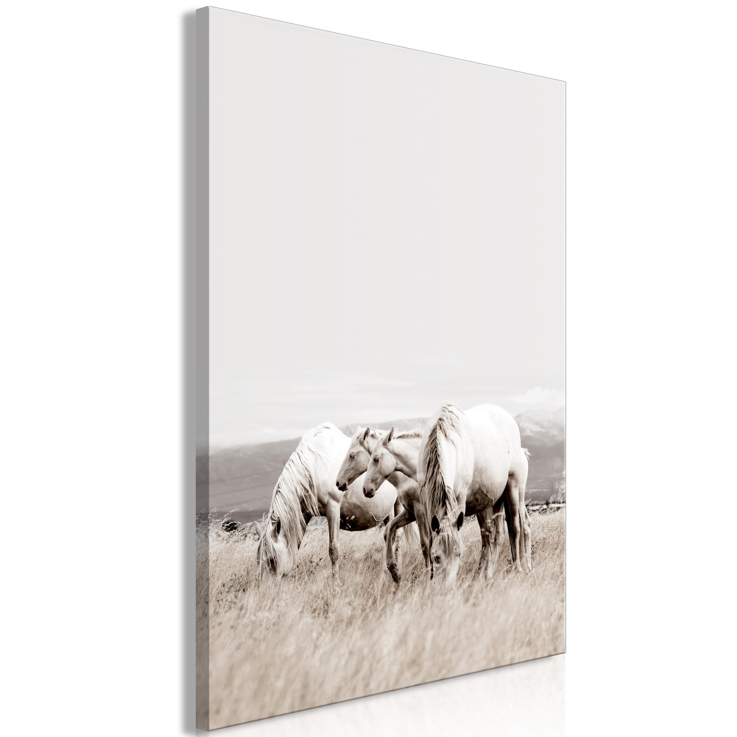 Billede - White Horses (1 Part) Vertical - 80 x 120 cm - Premium Print