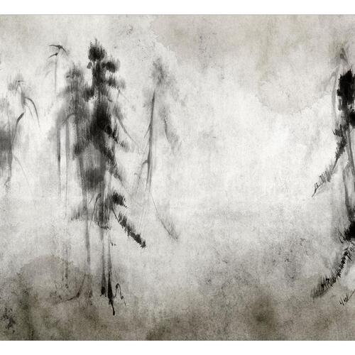 Fototapet - Mysterious Tact of Nature