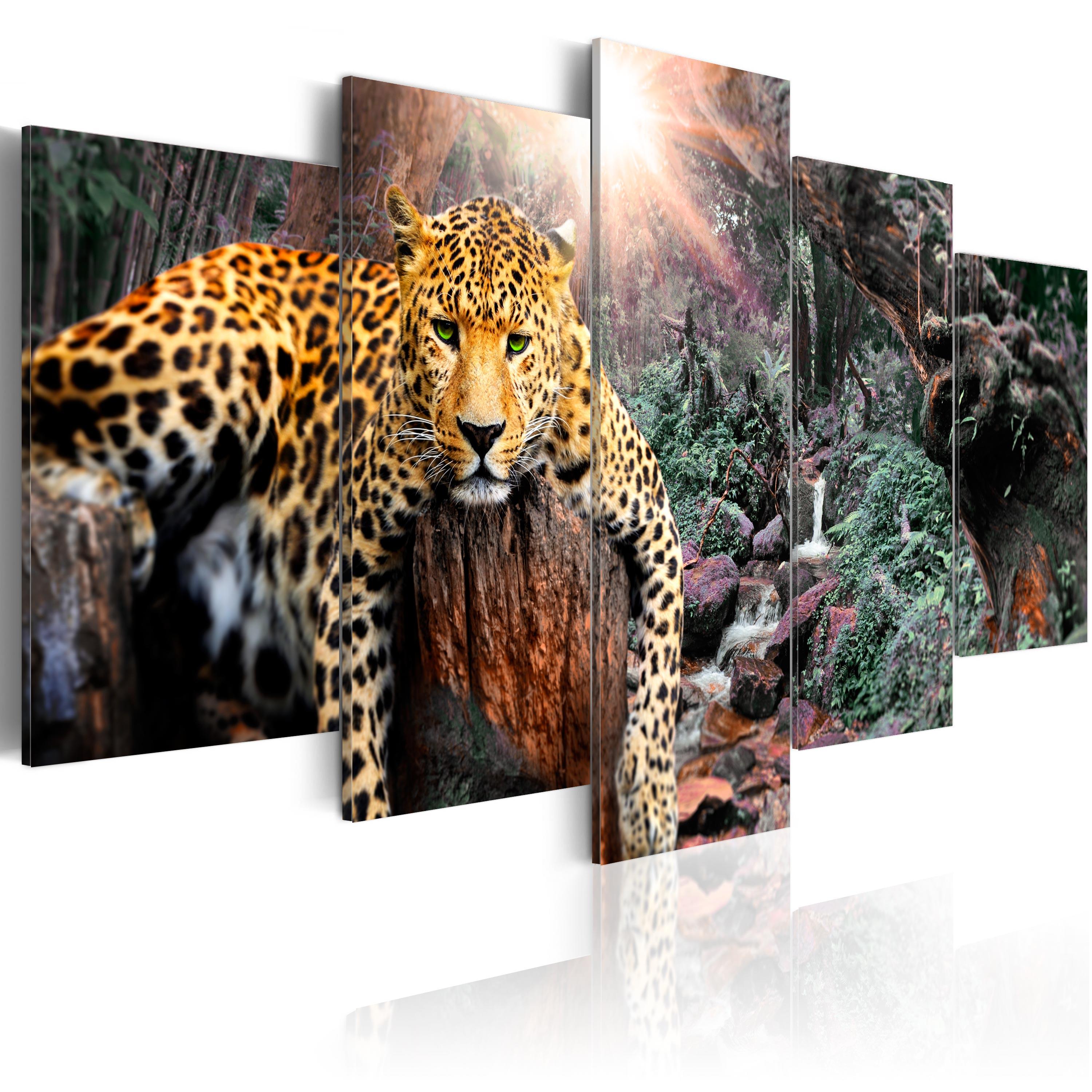 Billede - Leopard Relaxation - 225 x 112.5 cm - Premium Print