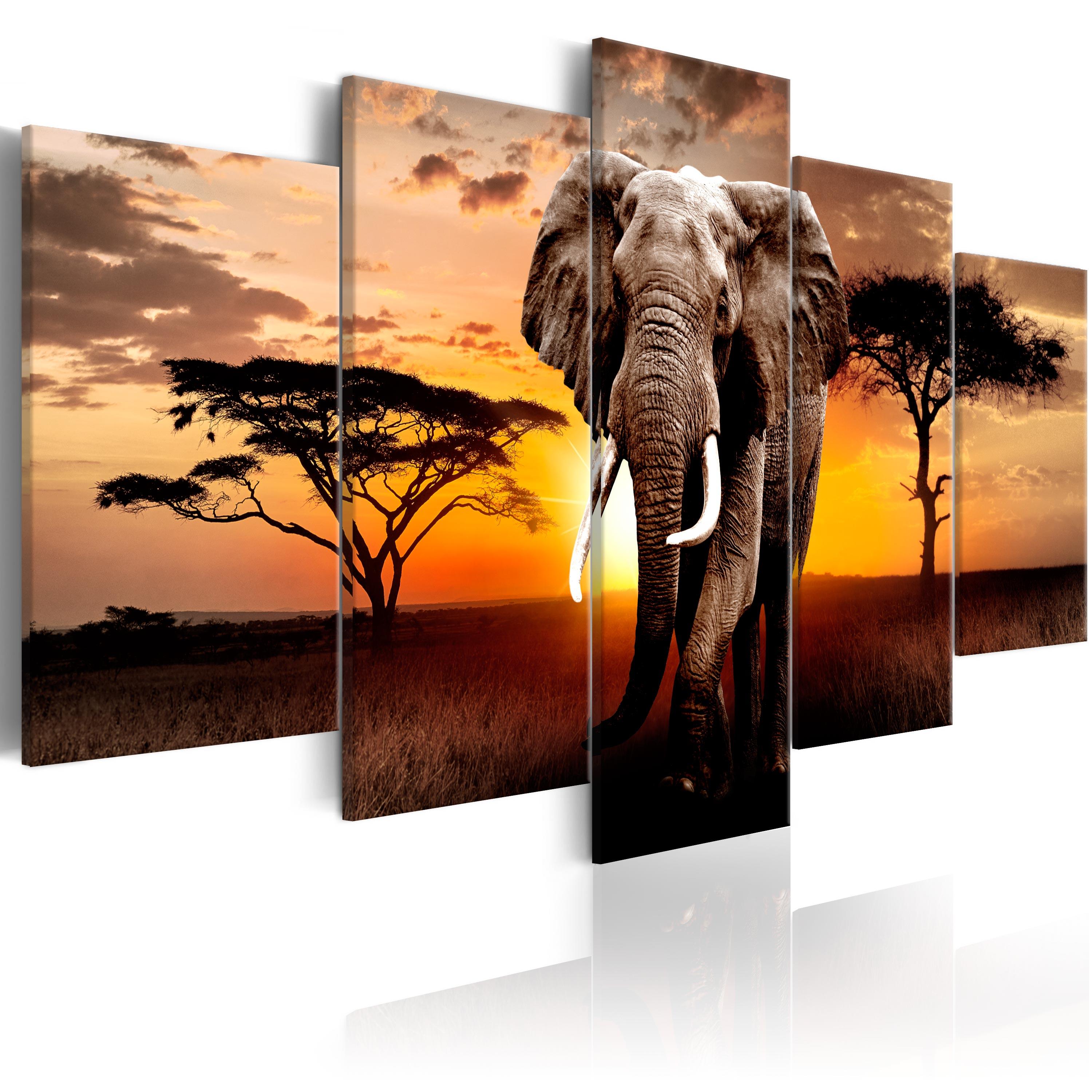 Billede - Elephant Migration - 100 x 50 cm - Premium Print