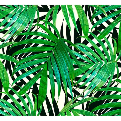 Fototapet - Tropical Leaves