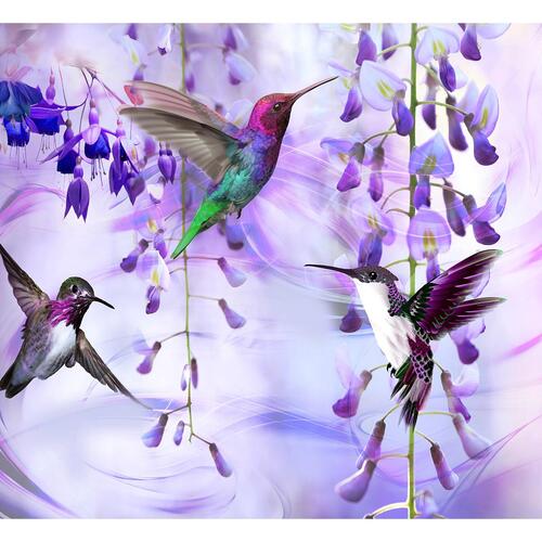 Fototapet - Flying Hummingbirds (Violet)