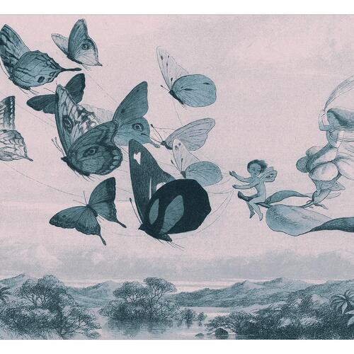 Fototapet - Butterflies and Fairy