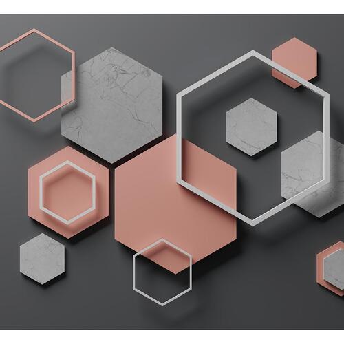 Fototapet - Hexagon Plan