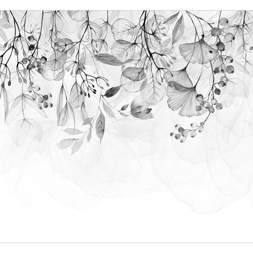 Fototapet - Foggy Nature - Grey