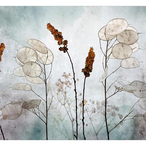 Fototapet - Lunaria in the Meadow